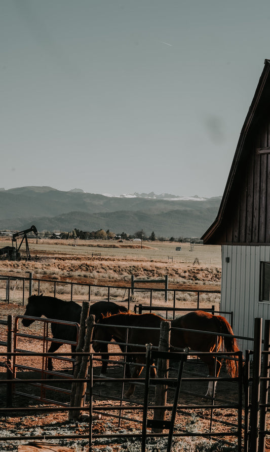 Colorado - USA