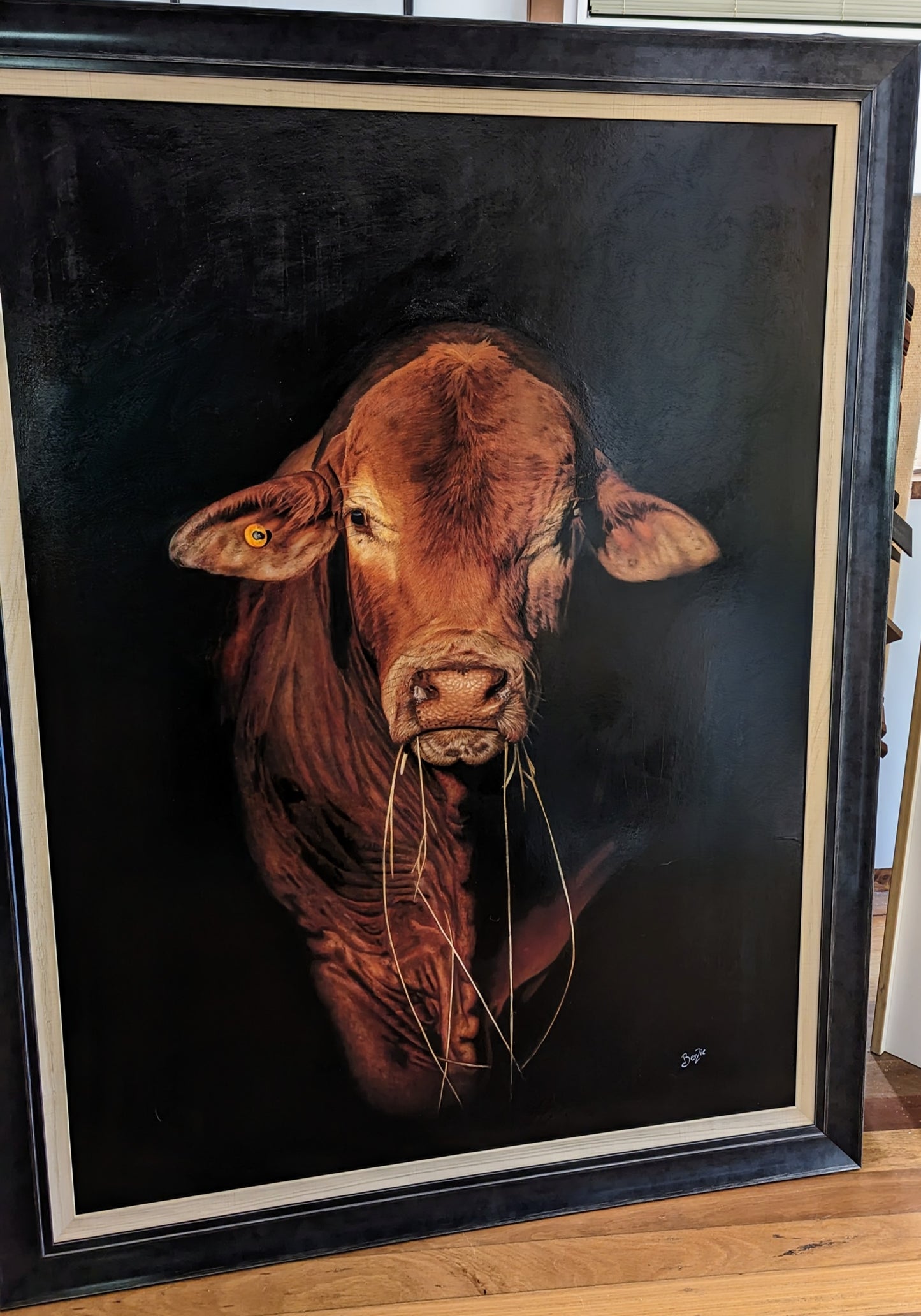 Stud bull