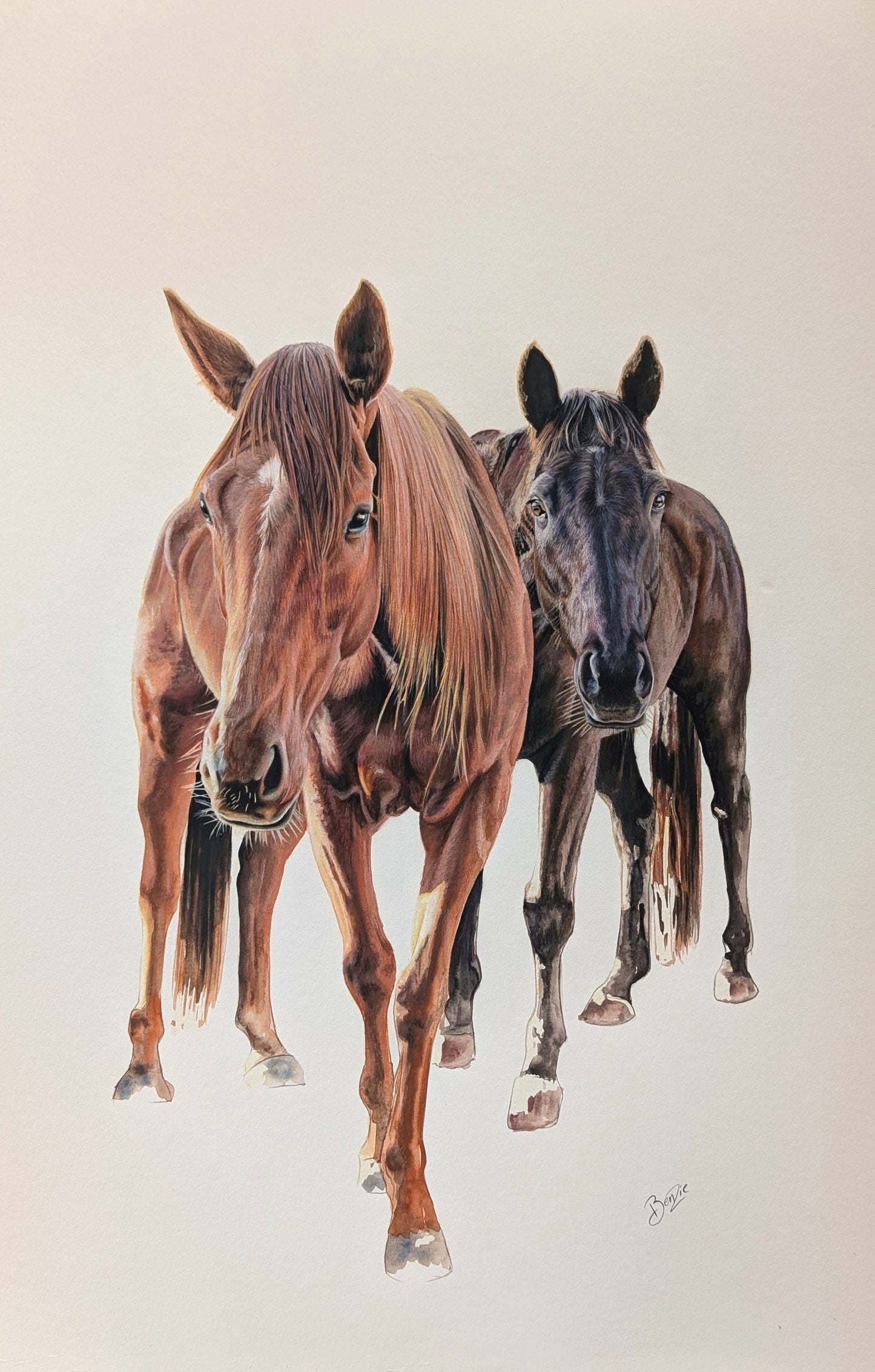 Horses