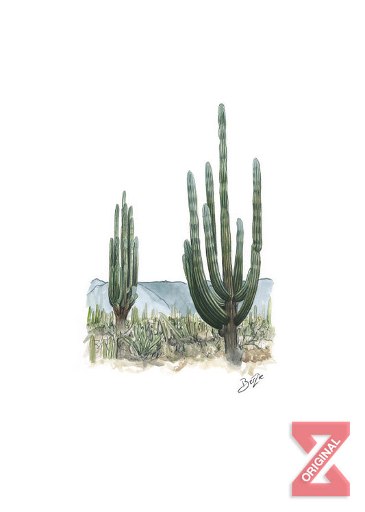Estilo Saguaro