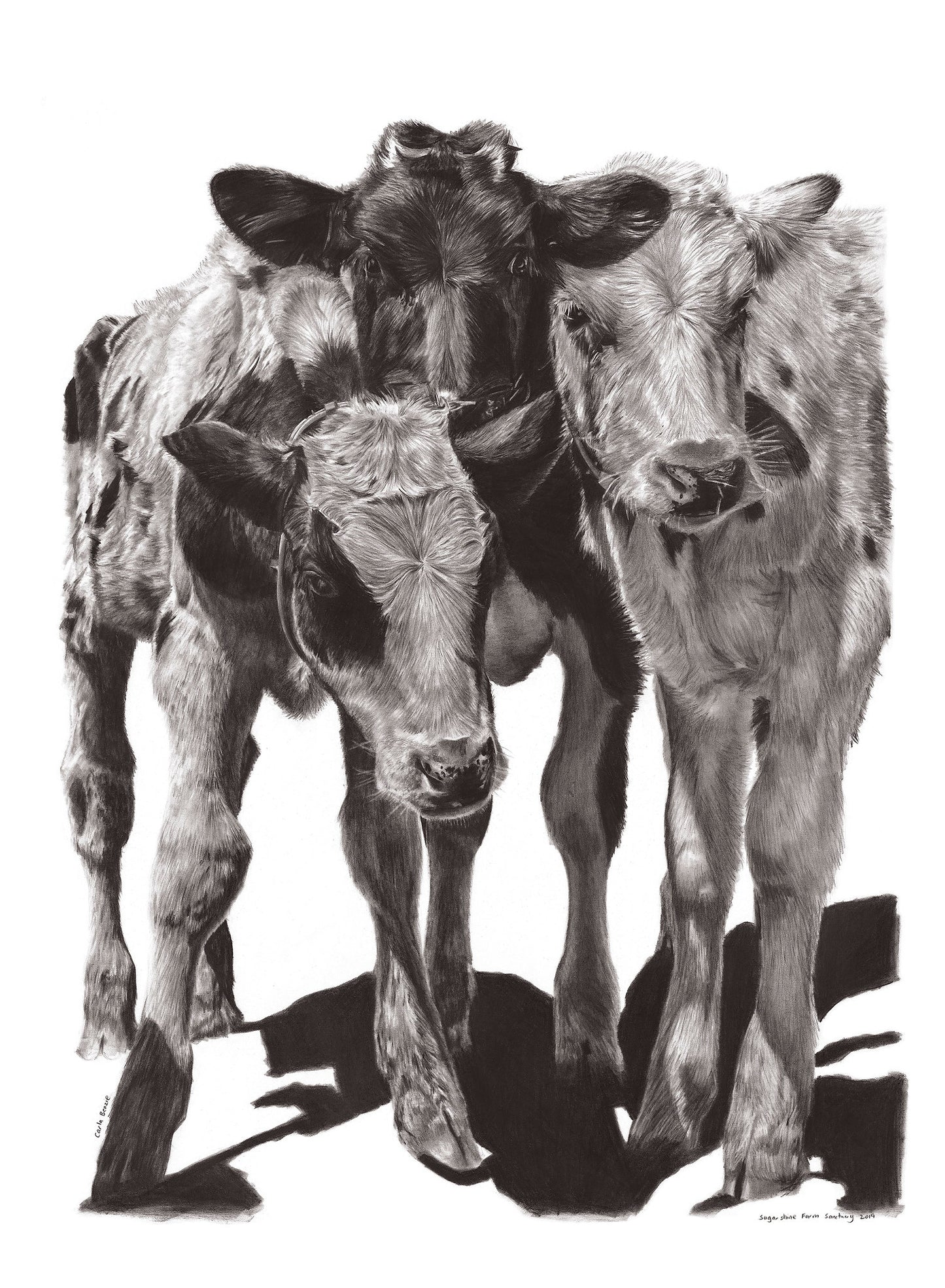 Three Brothers